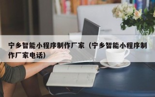 五家渠宁乡智能小程序制作厂家（宁乡智能小程序制作厂家电话）