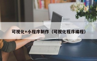 五家渠可视化+小程序制作（可视化程序编程）